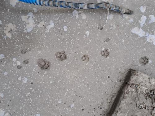 240425 IMG-20240424-2